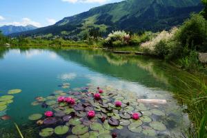 a river with flowers and lily pads in the water at Boutique Hotel Herzhof - Garni-Appartements - Adults Only in Riezlern