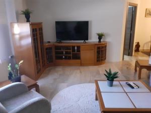 a living room with a flat screen tv on a entertainment center at GUSTO Apartment 2 in Orestiada