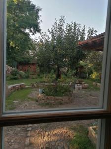 a view of a garden from a window at Lehm-Fachwerk-Denkmal in Arnshall +4 photos