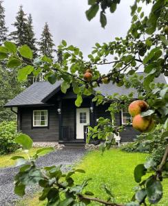 a small black house with apples in front of it at Tunnelmallinen ilmastoitu järvenrantahuvila in Saarijärvi
