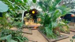 Zahrada ubytování Devocean Eco Adventure Lodge