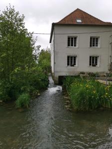 a house and a stream next to a house at Le Moulin d'Audenfort in Clerques +29 photos