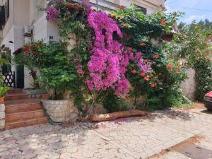 Fotografia z galérie ubytovania Apartment for max 7 pers in Mali Losinj with terrace, air conditioning, WiFi, washing machine 4913-3 v Mali Lošinj