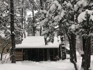 Una baita nel bosco con la neve sopra. di Ruidosos Midtown Retreat Cozy Cabin with AC a Ruidoso