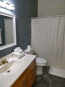 a bathroom with a sink and a toilet and a mirror at Telfair Place - 2BR Loft Overlooking Broughton Street in Savannah +22 photos