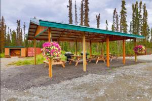Κήπος έξω από το Dolly Varden, Cabin 3 at Lower Kenai Lodge +8 φωτογραφίες