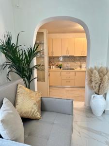 ヴロラにあるMediterranean Villa Old Townのソファとキッチンのあるリビングルーム