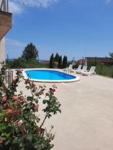 Una piscina con tumbonas y una planta. en Прекрасный апартамент с видом на море и бассейном, en Byala