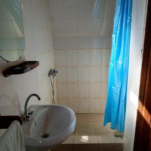 a bathroom with a sink and a blue shower curtain at Amoron'ny Ala in Andasibe