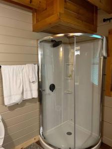 a shower with a glass door in a bathroom at Back to Creek, Pool Table, Firepit & Grill in Cosby