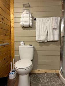 a bathroom with a white toilet and towels at Back to Creek, Pool Table, Firepit & Grill in Cosby +18 photos