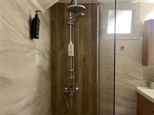 a shower with a glass door in a bathroom at Kona Apt Limenaria Thasos in Limenaria +39 photos