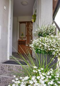 En have udenfor Apartma SIMONA