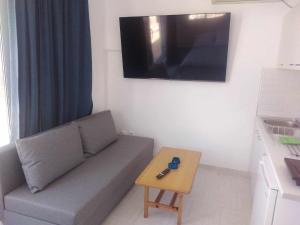 TV a/nebo společenská místnost v ubytování Blue Dolphin Studios and Apartment