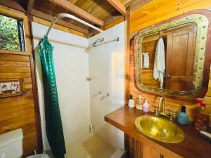 a bathroom with a sink and a shower and a mirror at Varsovia, casa de madera biblioteca in Guatavita +22 photos