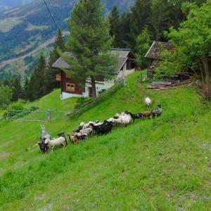 Paesaggio naturale nelle vicinanze della casa vacanze