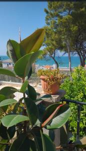 Galeriebild der Unterkunft Casetta San Menaio in San Menaio