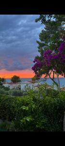 Galeriebild der Unterkunft Casetta San Menaio in San Menaio