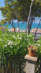 Galeriebild der Unterkunft Casetta San Menaio in San Menaio