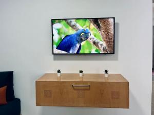 a blue parrot is sitting on a tree at Cozy Family House in City-Center in Chefchaouene