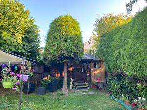 a house with a tree in a yard at Chambre à la venelle in Caen