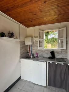 a kitchen with white appliances and a wooden ceiling at Maisonnette à la campagne in Colombier-le-Jeune