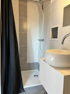 a bathroom with a shower and a sink at Maisonnette à la campagne in Colombier-le-Jeune +6 photos