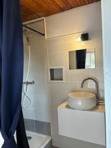 a small bathroom with a sink and a shower at Maisonnette à la campagne in Colombier-le-Jeune