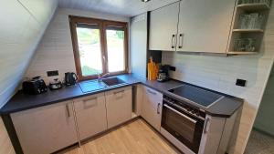 a small kitchen with a sink and a stove at Finnhütte Wagner - Urlaub am Thüringer Meer in Bad Lobenstein
