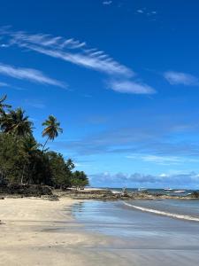 ボイペバ島にあるIlha de Boipeba kitnets para temporada - Morada dos Pássaros Boipebaのヤシの木と青空のビーチ +89枚の写真