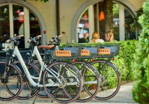 Jízda na kole v ubytování Boutique Hotel Krone nebo okolí