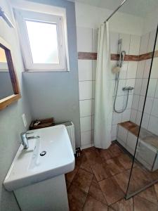 Koupelna v ubytování Ruheplatzerl