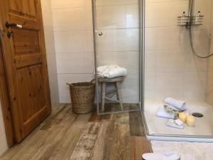 ein Bad mit einer Dusche, einem WC und einem Stuhl in der Unterkunft Little Blue Cottage #9 in Fehmarn + 14 Fotos