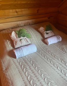 Łóżko lub łóżka w pokoju w obiekcie Góralska Chata & Spa