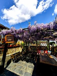 Zahrada ubytování Guixu Huatang Homestay