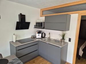 Kuchyň nebo kuchyňský kout v ubytování Appartement Alpina Zillertal + 16 fotografií