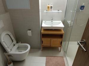 a bathroom with a toilet and a sink at Riverside Vrchlabí in Vrchlabí +25 photos