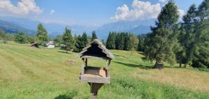 a bird feeder in a field with mountains in the background at Baita casapendola in Marter di Roncegno +8 photos
