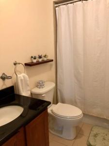 a bathroom with a toilet and a shower curtain at Lovely 2 Bedrooms Apartment in Scotch Plains +10 photos