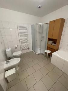Koupelna v ubytování Tříletý Mlýn + 37 fotografií