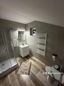 a bathroom with a shower and a sink and a toilet at Azuga Home in Azuga +3 photos