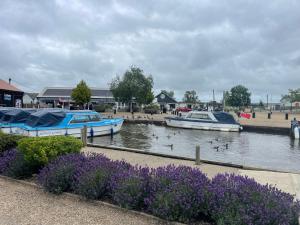 two boats in a body of water with purple flowers at Norfolk Nest 2 bedroom chalet new media wall in Hemsby