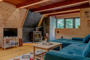 TV a/nebo společenská místnost v ubytování Viktorija chalet