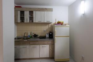a kitchen with a refrigerator and a sink at Kraljevski kutak 2 in Kraljevo