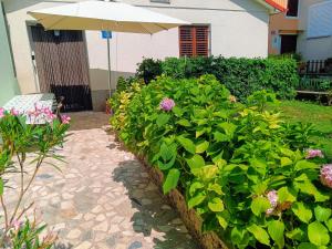 Ein Garten an der Unterkunft Holiday House Palma