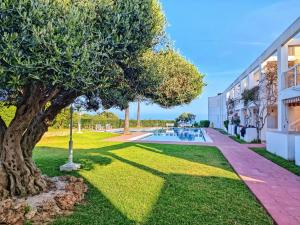 Vonkajšia záhrada v ubytovaní Apartment Sol Vinaròs con AA Wi-Fi a primera línea y vistas al mar.