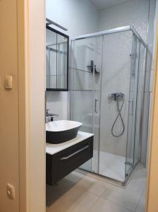 ザグレブにあるCity East Apartment Zagreb with private parkingの洗面台とガラスのシャワーを備えたバスルーム