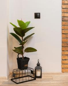 Gambar di galeri bagi Skylight Room! di Lucan
