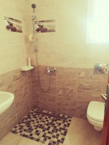 a bathroom with a shower and a toilet at Dar Dhiafa Mayar -دار الضيافة ميار in Mahdia +12 photos