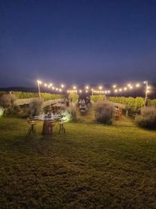 a picnic table in a field at night at Vinícola Mirantus in Espirito Santo Do Pinhal